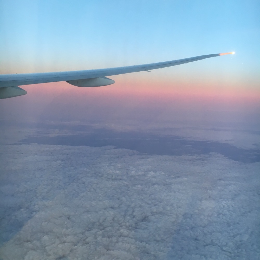 Meet your Posher, Krysti